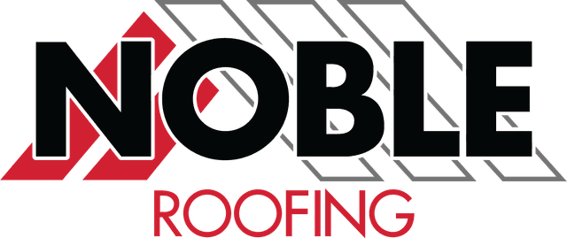 Park Vista Roofing Logo
